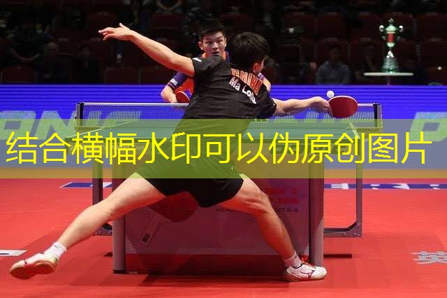 海陸空全方位運動，室外體育用品健身器材推薦助你展現非凡魅力！