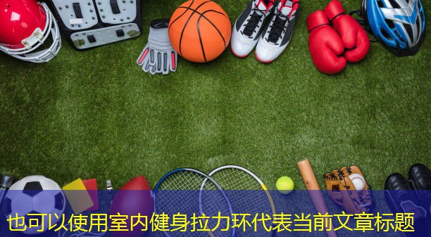 室內(nèi)健身拉力環(huán)