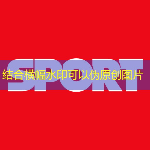 天興乒乓球臺